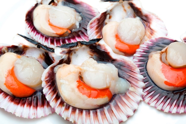 Scallops fresh, raw and clean on white surface (zamburiÃÂ±as)