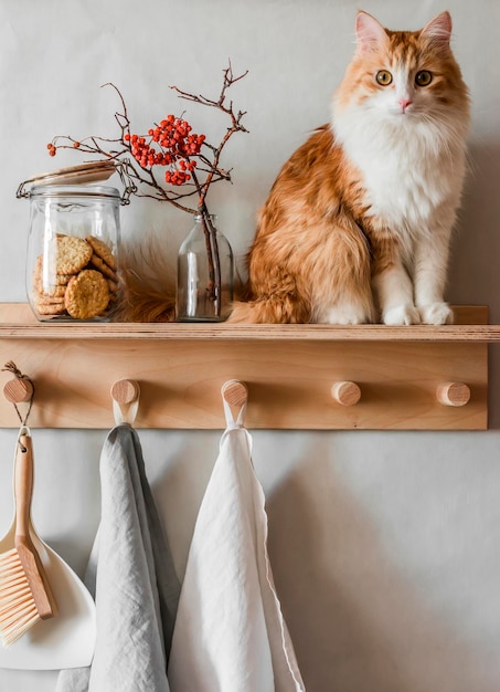 Scandinavian kitchen wooden shelfhanger with a cookie jar ceramic jug dried rowan flowers linen towels and beautiful red cat on a light wall