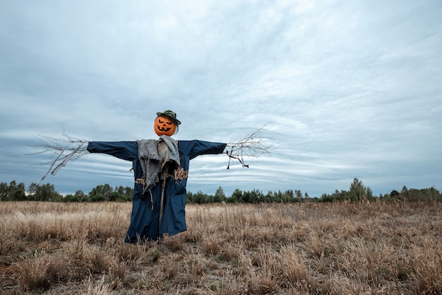 A scary scarecrow with a halloween pumpkin head in a field in cloudy weather.