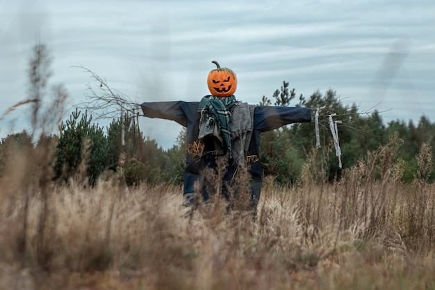 A scary scarecrow with a halloween pumpkin head in a field in cloudy weather.