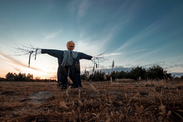 Scary scarecrow with a halloween pumpkin head in a field at sunset.