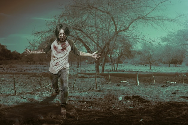 Scary zombie with blood and wound on his body walking on the field