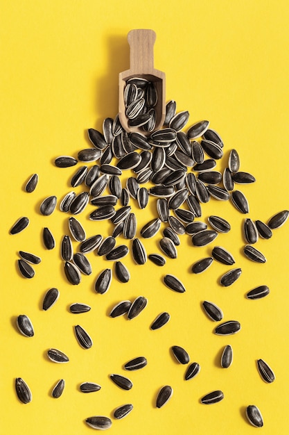 Scattered Black sunflower seeds and  small wooden scoop on bright yellow background. Harvest time agriculture farming. Organic healthy food.