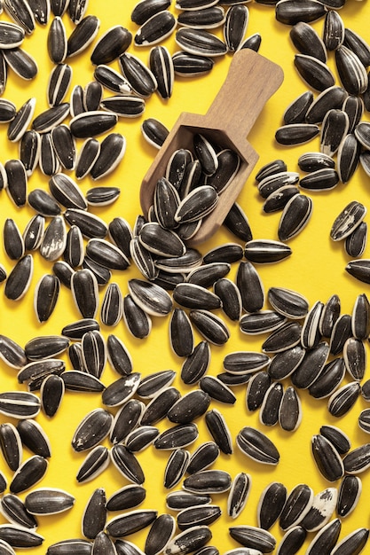 Scattered Black sunflower seeds and  small wooden scoop on bright yellow background