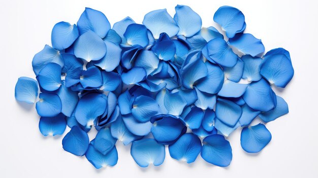 Photo scattered blue rose petals