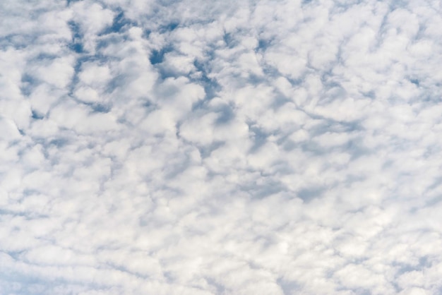 Scattered cloud clusters in a blue sky blue sky background with white clouds