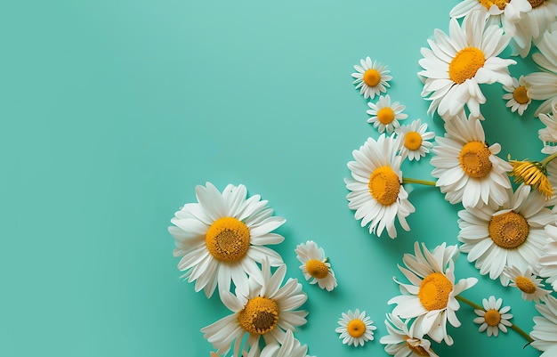 Scattered Daisies on Turquoise Background with Copy Space