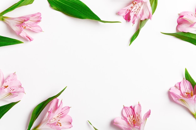 Scattered fresh lily flowers and leaves beautiful frame background.