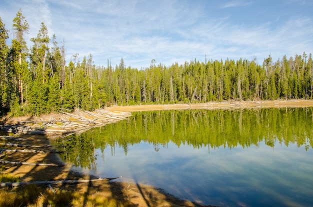 Scaup Lake with Perfect Reflection Yellowstone National Park