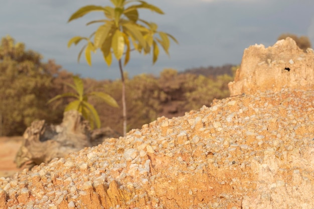 scene around the deserted land due to deforestation and earth mining