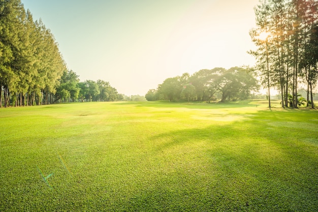 Scenery green golf and meadow with sunbeam in morning