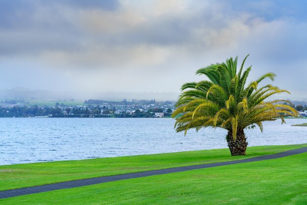 Scenery of Lake Taupo in the morning , North Island of New Zealand