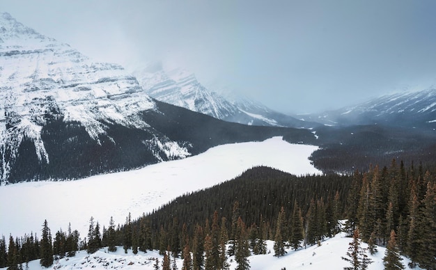 Scenery of Peyto Lake with snow covered in the valley on snowing day at Banff national park