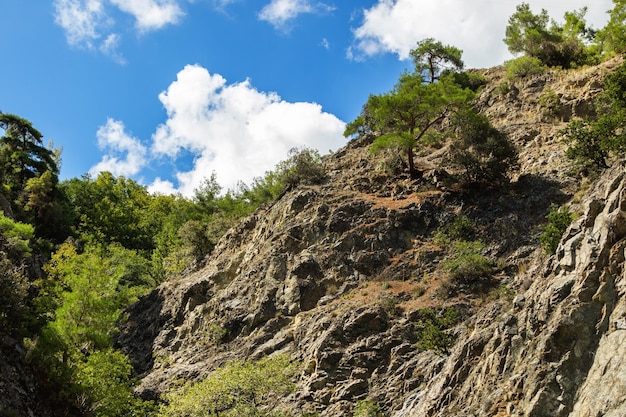 Scenery of a rocky valley during summer holidays