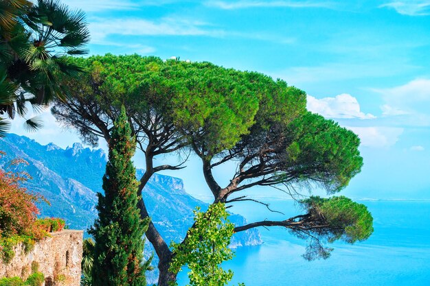 Scenery with trees in Ravello village, Tyrrhenian sea, Amalfi coast, Italy