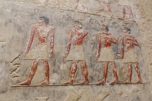 Scenes in Saqqara Necropolis Cairo Egypt