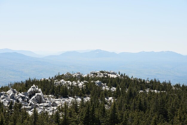 Scenic aerial view of vast conifer woodland massive white rocks and high mountains in the distance n