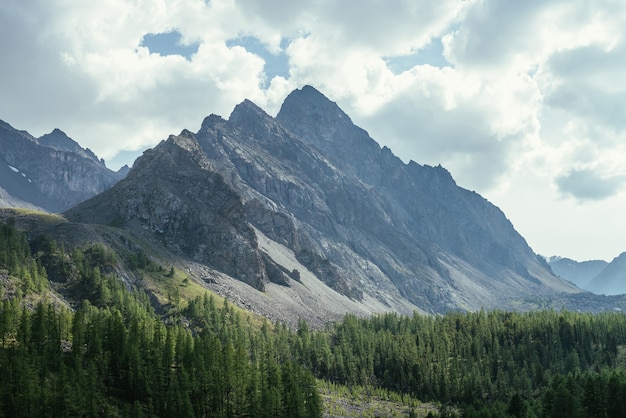 Scenic alpine landscape with great dragon shaped mountain under cloudy sky. Beautiful mountain scenery with big sharp rocks in cloudy sky above coniferous forest. Awesome high mountain with peaked top