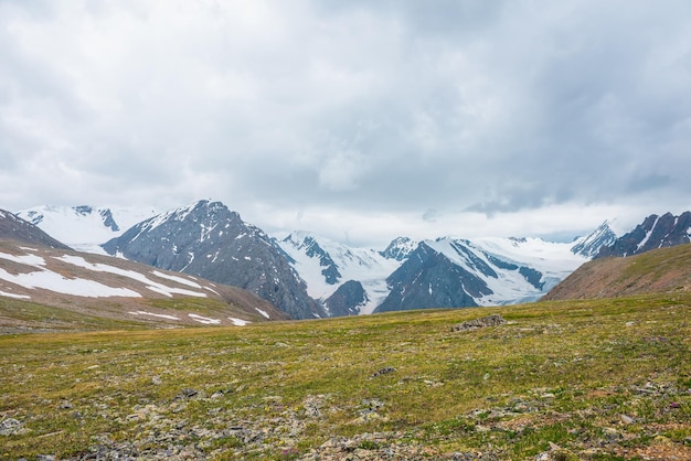 Scenic alpine view from sunlit green grassy hill to high snowy mountain range with sharp tops and glaciers under gray cloudy sky Colorful landscape with large snow mountains at changeable weather