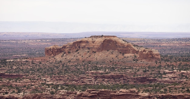 Scenic American Landscape and Red Rock Mountains in Desert Canyon