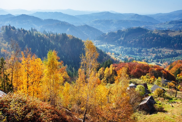 Scenic Autumn Landscape