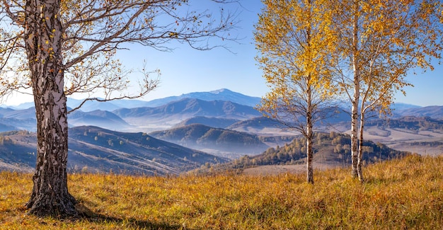 Scenic autumn view