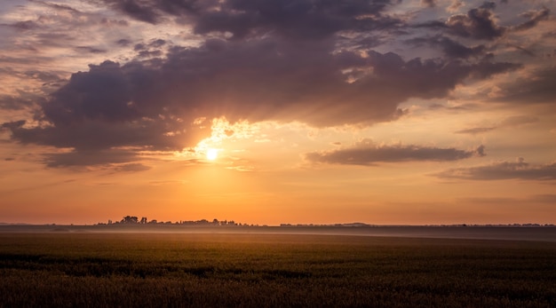 Scenic dark sky during the sunset