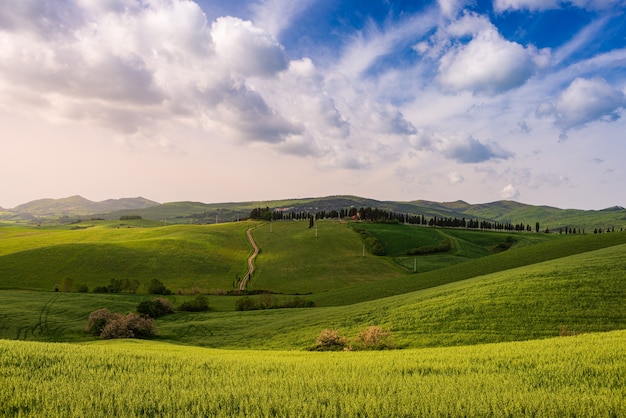 Scenic dramatic sky and sunset light over cultivated hill range and cereal crop fields