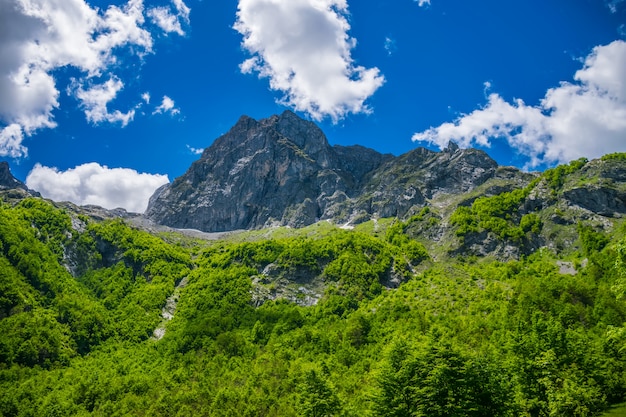 Scenic forest and meadows among the high snow-capped mountains.