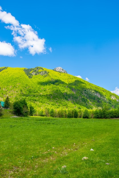 Scenic green meadow on the background of high peaked rocks.