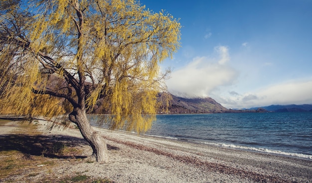 scenic of lake wanaka southland new zealand 