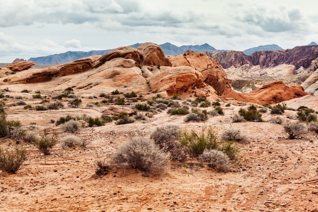 Photo scenic landscape of desert at southern nevada, usa