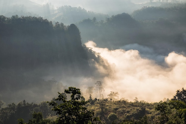 Scenic landscape on foggy valley at sunrise