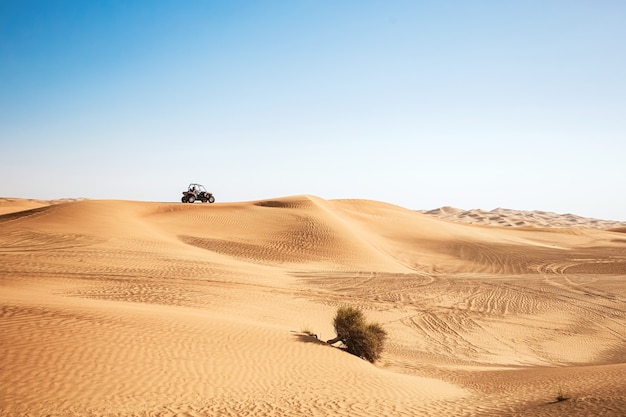 Scenic landscape with desert plant and buggy quad car riding far at sand hill