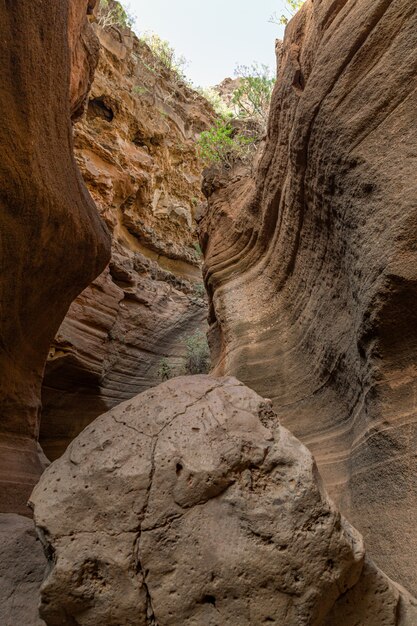 Scenic limestone canyon, Barranco de las Vacas, Gran Canaria, Canary islands Spain. Geology concept.