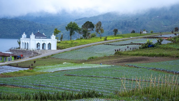 Scenic nature landscape with mosque