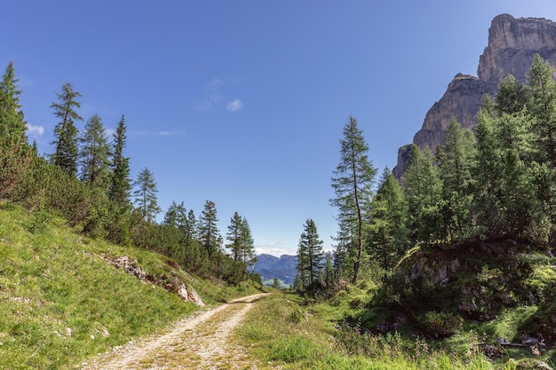 Scenic path through a gorge in the Dolomites on a sunny summer day (Nature park Puez Odle)