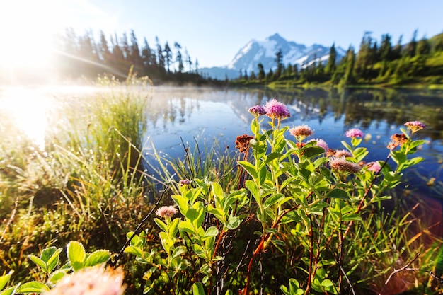 Scenic Picture lake with mount Shuksan reflection in Washington, USA