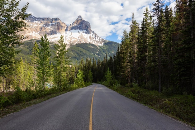 Scenic road in the Canadian Rockies during a vibrant sunny summer day