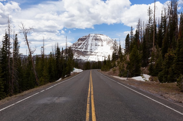 Scenic road snowy mountain and trees spring season