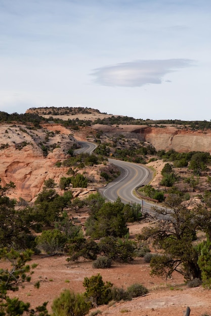 Scenic road surrounded by red rock mountains in the desert