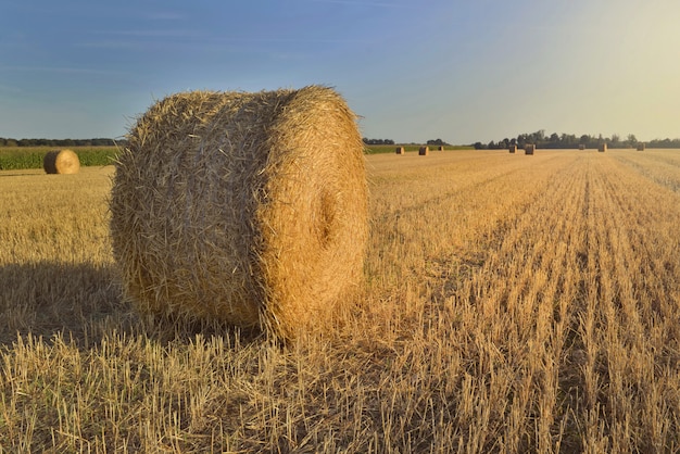 Scenic rural landscape with a haybale in a field at sunset 