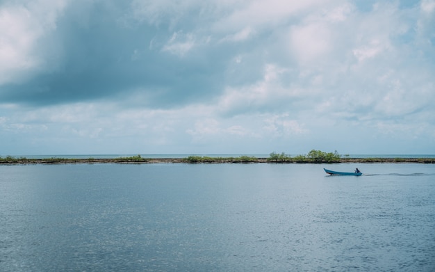 Scenic seaside view of tranquil mangrove swamp landscape on the coast of Bahia, Brazil