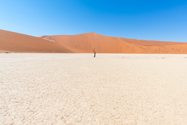 The scenic Sossusvlei and Deadvlei, clay and salt flat surrounded by majestic sand dunes