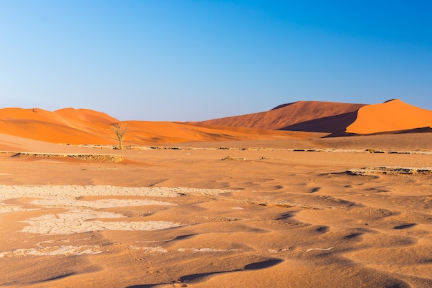 The scenic Sossusvlei and Deadvlei, majestic sand dunes.