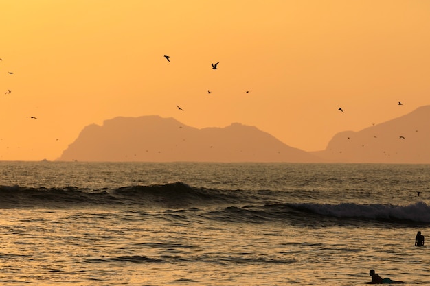 Scenic sunset moment with silhouettes of surfers and seagulls on the beach of the Pacific ocean in Lima, Peru