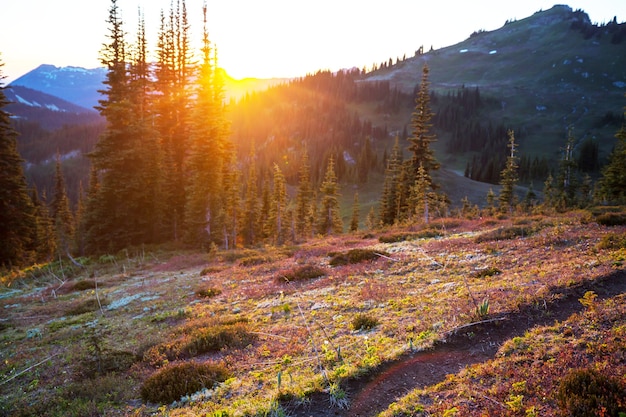 Scenic Sunset in the mountains. Autumn season.