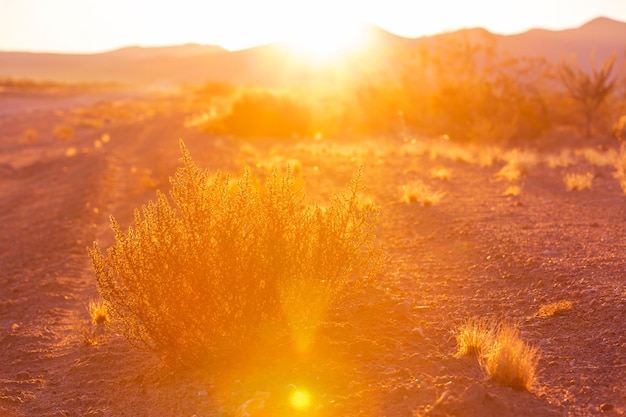 Scenic Sunset in the mountains