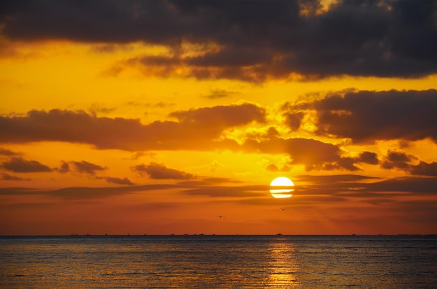 Scenic sunset with seagulls over the sea in Alghero Sardinia