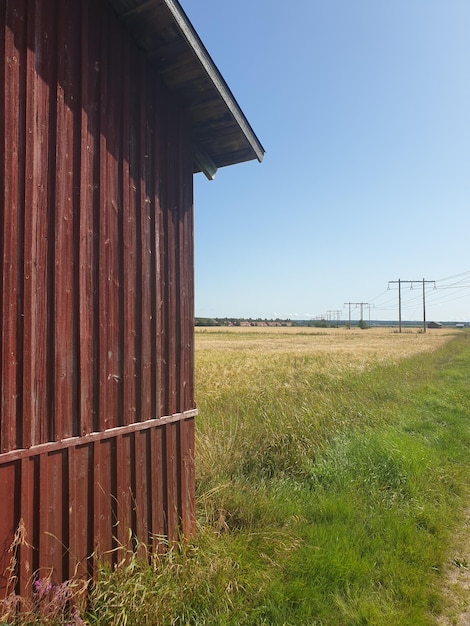 Scenic view of agricultural field against clear sky